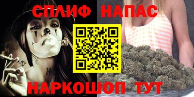 мдпв Тверь