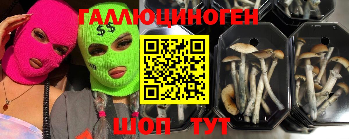 Ликино-Дулёво  купить наркотики сайты  Галлюциногенные грибы мухоморы  Вход с VPN  Галлюциногенные грибы мицелий 